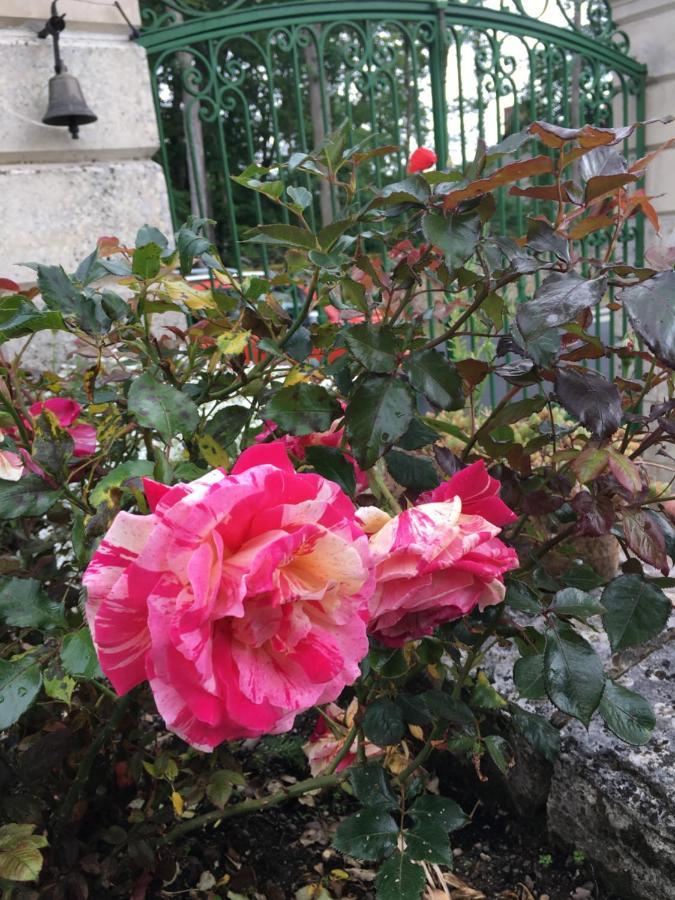 La Valiniere Bed & Breakfast Seur Exterior photo